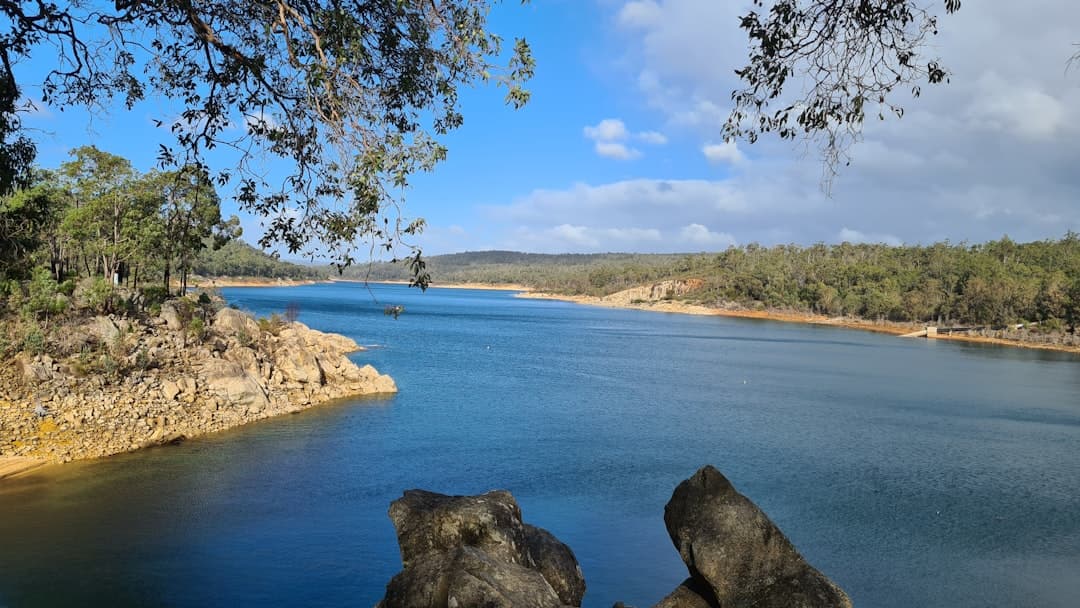 Seqwater's Reporting: What It Covers