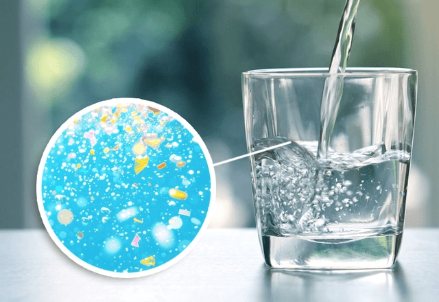 Bottled water vs tap water